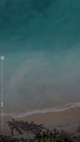 Café de Lá Musique